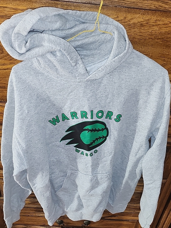 Gildan Other - Gildan Gray Pullover Hoodie with Green Graphic